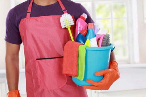 Regular cleaning service for a local N7 home interior