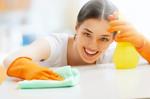 Preparation checklist and cleaning tools for a property clean in N7