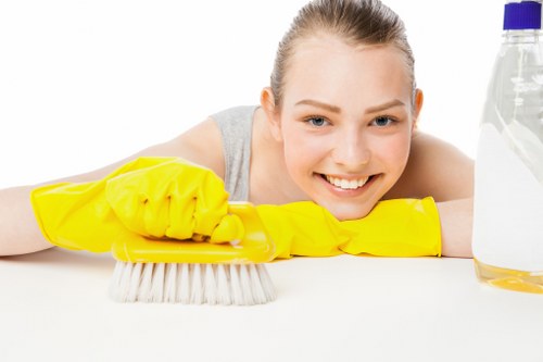 Deep carpet cleaning equipment used in a North London property