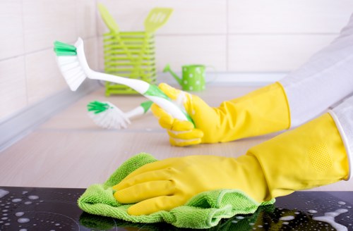 Technician addressing lingering pet odour in a flat in Holloway N7