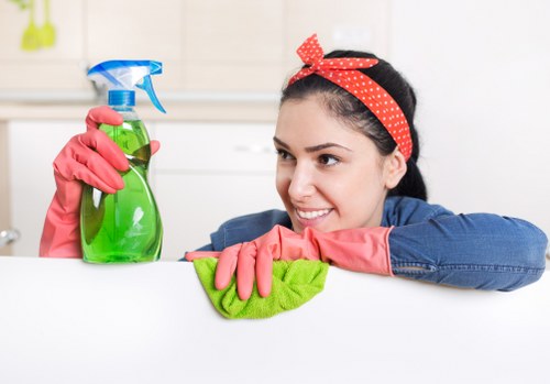 Local carpet cleaning for a rented flat in N7