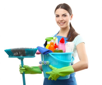 Deep cleaning equipment used for pet urine stains on upholstery