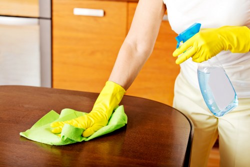 Upholstery cleaning equipment used for sofa care in N7 properties