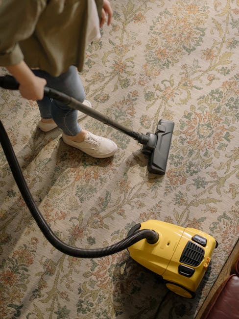 A professional cleaner from Cleaners N7 is performing surface cleaning on a light-colored, plush rug in a bright, modern living room. The cleaner is wearing a full white protective suit, blue disposable shoe covers, and gloves while using a portable steam or extraction machine to deep clean the carpet. The room features natural light coming through a large window on the left, illuminating the neutral-toned walls and wooden furniture, including a bookshelf filled with books and decorative objects. There are potted plants near the window, and a small wooden table with cups and decorative items. The scene depicts a hygienic and well-maintained environment focusing on carpet sanitisation and deep cleaning as part of routine domestic cleaning, emphasizing the importance of professional stain removal and surface hygiene in residential spaces. This type of cleaning service aligns with the information provided on the Tufnell Park Station carpet cleaning and stain removal guide from Cleaners N7.